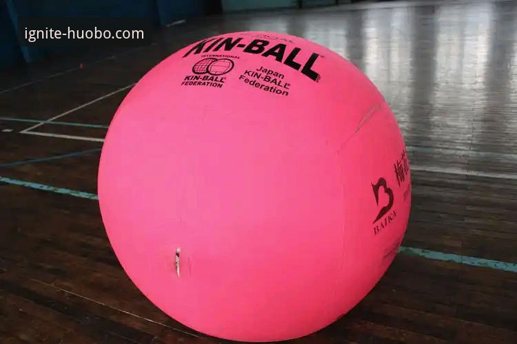 <h2>从阿坎吉处子球，学习在火博体育网页版最新版追踪球星动态的实用技巧</h2>